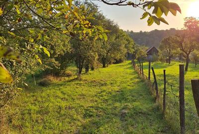 Teren de 29463 mp, în Vătava - 3