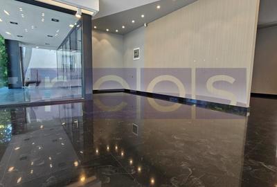 Spațiu comercial, de 145 mp, în Floreasca - 3