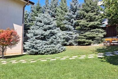 Proprietate deosebita in Bucium – 235 mp utili, teren 825 mp, gata de mutat - 3