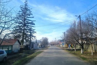 Frumusani Postavari Loturi Teren Rezidentiale - 9