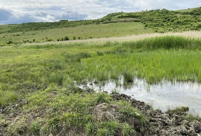 Spațiu comercial, în Mica - 3