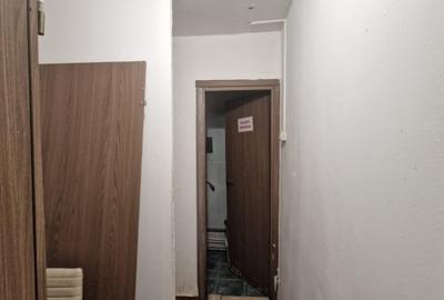 Spatiu comercial, 350mp, Brazda lui Novac, zona Guliver - 12