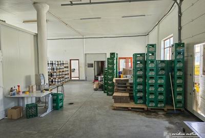 Hala depozitare sau microproductie - 5