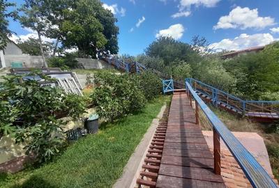 Casa de vacanta superba cu vedere la Dunare - Topalu, Constanta - 10