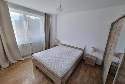 Apartament cu 2 camere semidecomandat, mobilat în Iancu Nicolae - 7
