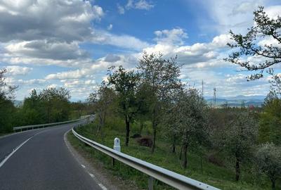 Spațiu comercial, în Sârbi - 1