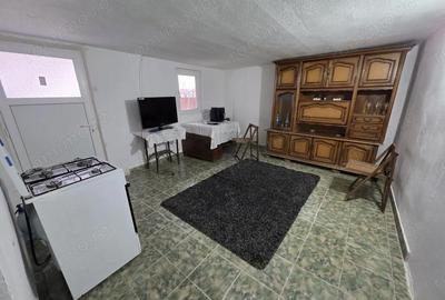 Casă cu 2 camere cu Teren 732 Mp în Tormac - 7