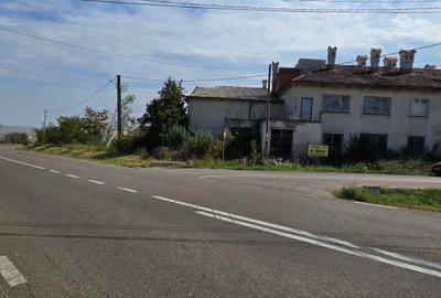 1 hectar de teren intravilan cu constructii la strada in Cucorani - 4