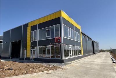 Depozit/hala/spatiu industrial Theodor Pallady - Drumul Int - 1