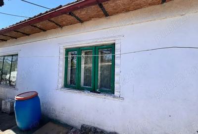 Casă cu 5 camere în Viile Noi