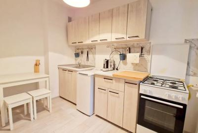 Apartament cu 2 camere decomandat, mobilat în Timișoara - 15
