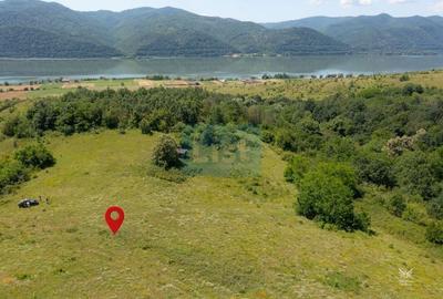 Teren extravilan de 47000 mp, în Sichevița - 4