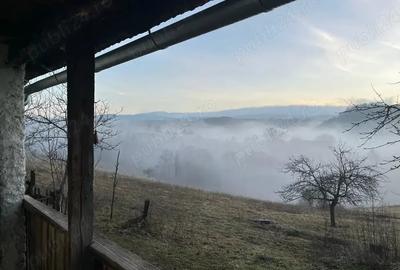 Teren de 20000 mp, în Târnova - 7