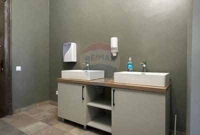 Spatiu de birou de inchiriat Calea Aurel Vlaicu - 6