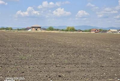 Oportunitate de investiție cu Exclusivitate! BOD, teren agricol! - 3
