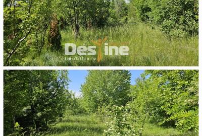 Tomesti-Chicerea, teren intravilan  3523 mp - 3