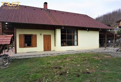 Asamblu rezidential, 3 case, anexe, teren 1 ha - 4