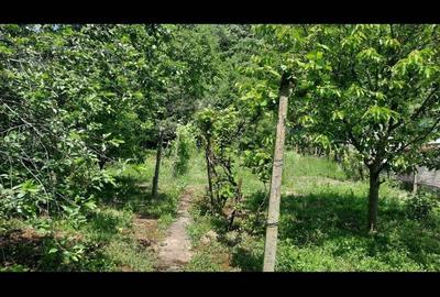 Casă cu 2 camere în Lipova - 2