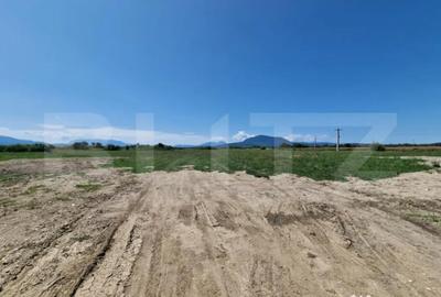 Teren de 6300 mp, în Hălchiu