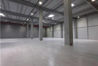 Spatiu Industrial - 5300 mp - Logistica - Productie - Depozitare - Distributie - 2