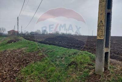 Teren agricol partial intravilan de vanzare in Filipesti jud. Bacau - 3