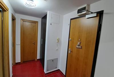 Apartament cu 2 camere decomandat, mobilat în Tineretului - 5