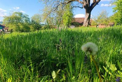 Descopera casu?a ta de vis la poalele Mun?ilor Apuseni - 5
