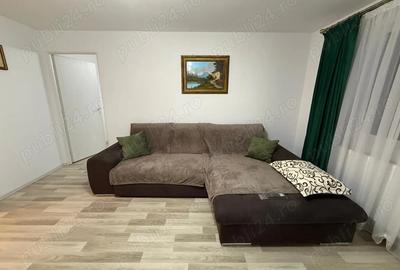 Vila Caciulata inchiriere Craciun 2025 - 14