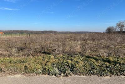 Gradistea -Ilfov, strada Nuferilor, teren intravilan 1000 mp 15m. - 8