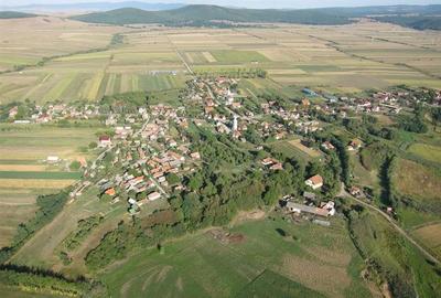 Teren Construcții intravilan de 6245 mp, în Dobolii de Jos - 1