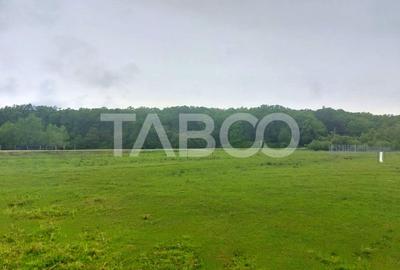 Teren Construcții intravilan de 712 mp, în Periferie - 5