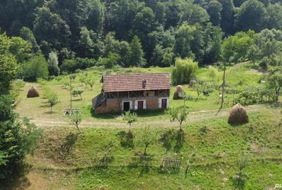 Teren de vanzare in comuna Cicane?ti, sat Bara?ti, Judet Arges. - 7