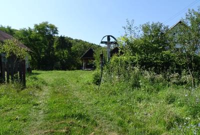 Proprietate cu potențial! Casă finisată și teren 2000 mp – Mureșenii de Câmpie - 12