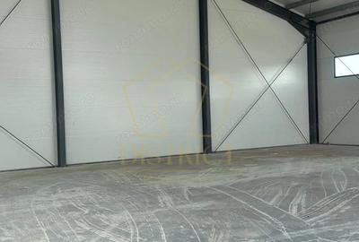 Spațiu comercial, de 440 mp, în Giarmata - 1