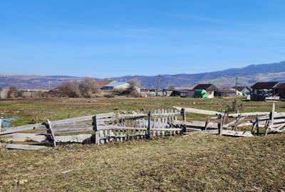 Spațiu comercial, în Pianu - 6