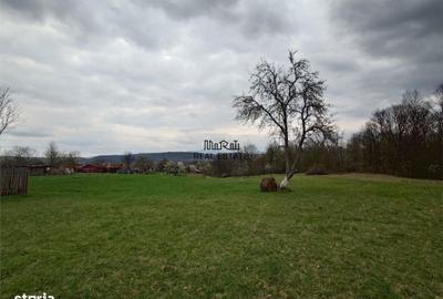 Teren de 9370 mp, în Baia de Criș - 8