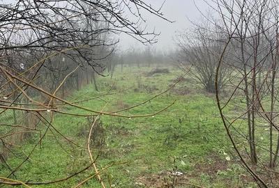 Casă cu 2 camere cu Teren 1345 Mp în Gorneni - 4