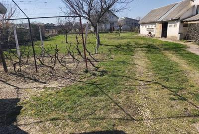 Casă cu 3 camere cu Teren 2000 Mp în Cihei - 8