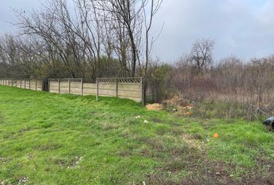 Prelungirea ghencea nr 414b,strada floare galbena, - 10