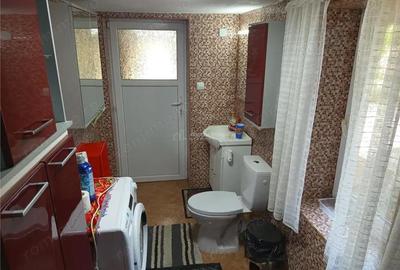 Casă cu Teren 1439 Mp în Anina - 9