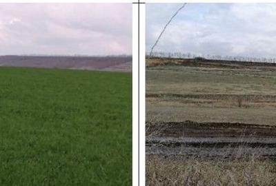 Teren extravilan Tiganasi, cota parte 1/5, ID: R2822453 - 3