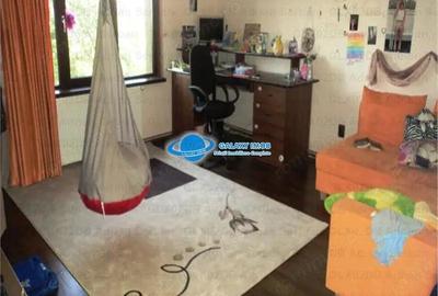 Vanzare vila P+M Targoviste, exterior sud - 4