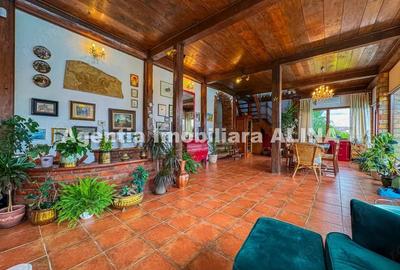 Casa LA CHEIE si teren 20.764 mp in Deva, zona Archia, Jud. Hunedoara. - 1