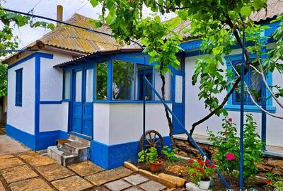Casă cu 3 camere cu Teren 1051 Mp în Jurilovca - 7