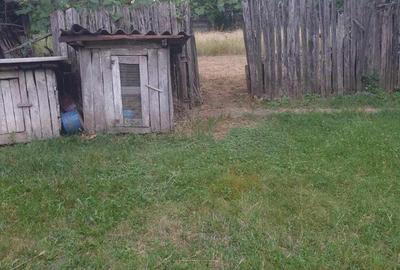 Vanzare casa in Darmanesti, jud Dambovita - 2