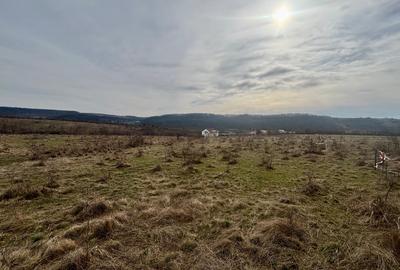 Teren Construcții intravilan de 802 mp, în Pișchia - 2