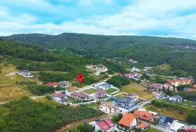 Teren de 941 mp, în Bujoreni - 10