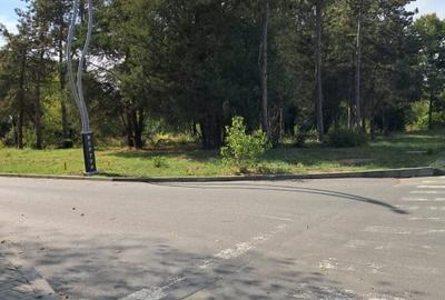 NEPTUN | OPORTUNITATE INVESTITIE | PUZ APORBAT | POSIBILITATE PARCELARE - 6