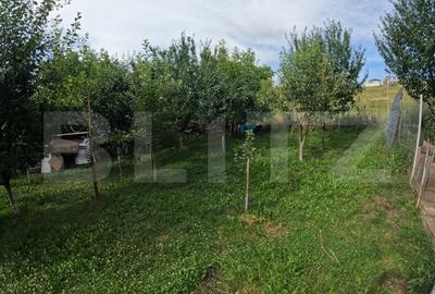 Casa individuala de 130 mp cu 691 mp teren in Dezmir intr-o zona aerisita - 20