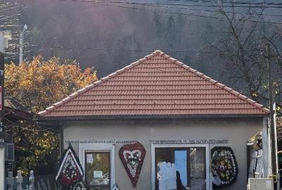 Spa?iu comercial de inchiriat Bulevardul 9 Mai 1000 Euro/lunar - 1